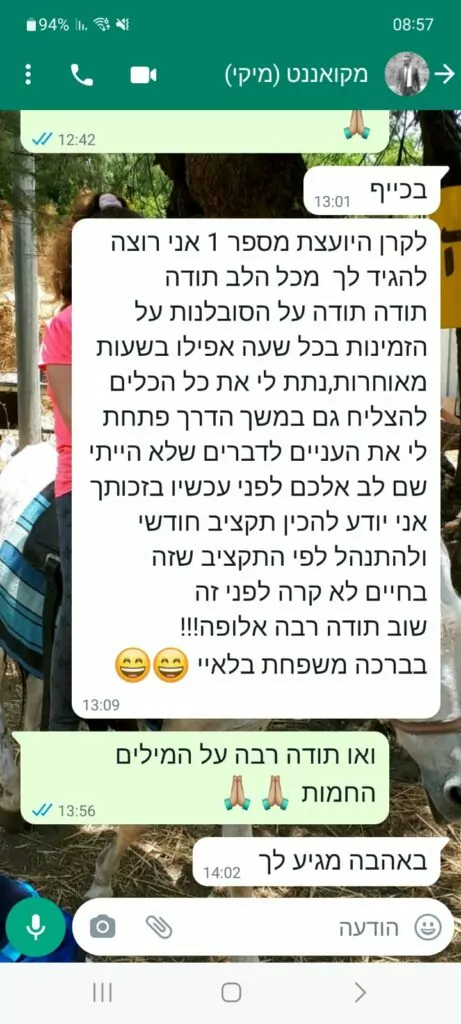 WhatsApp-Image-2024-01-28-at-09.10.00-461x1024.jpeg